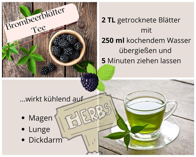 Brombeerblätter Tee